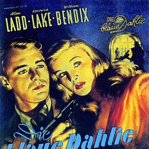 Bilder Die blaue Dahlie