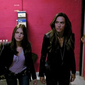 Bilder Nina Lisandrello