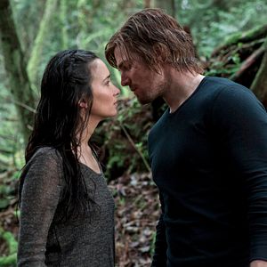 Bilder Stephen Amell