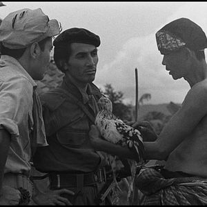 Bilder After The Curfew