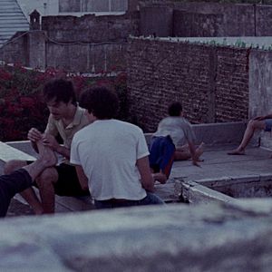 Bilder Pude Ver Un Puma