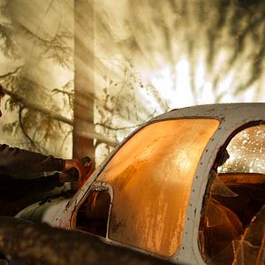 Bilder Der jüngste Tag - Das Ende der Menschheit