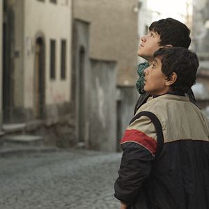 Bilder Broken Mussels