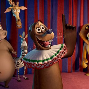 Bilder Madagascar 3: Flucht durch Europa