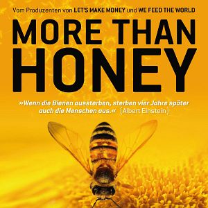Bilder More than Honey
