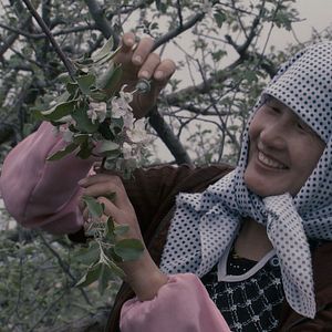 Bilder More than Honey