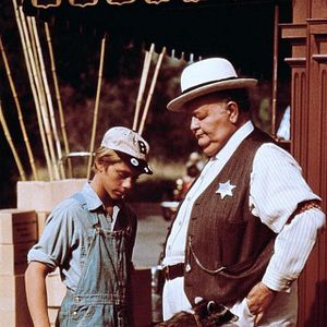 Bilder Ein Frechdachs im Maisbeet