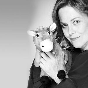 Bilder Political Animals