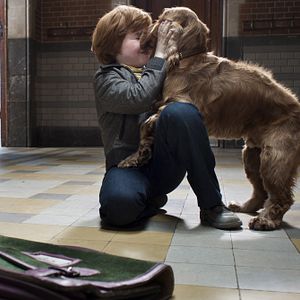 Bilder Boule & Bill - Zwei Freunde Schnief und Schnuff