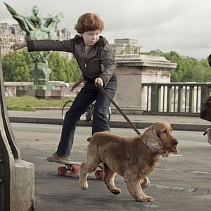 Bilder Boule & Bill - Zwei Freunde Schnief und Schnuff