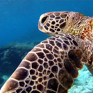 Bilder Australien in 100 Tagen