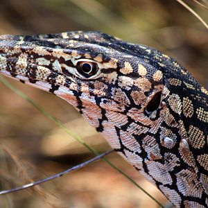 Bilder Australien in 100 Tagen