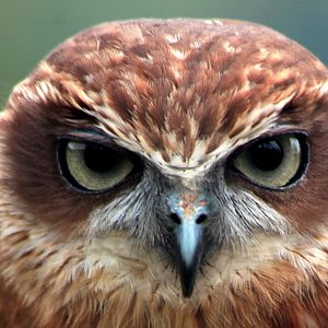 Bilder Australien in 100 Tagen