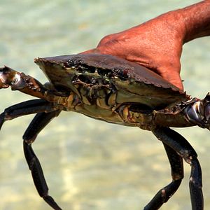 Bilder Australien in 100 Tagen