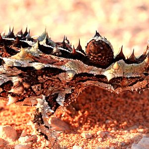 Bilder Australien in 100 Tagen