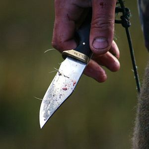 Bilder Freiwild - Zum Abschuss freigegeben