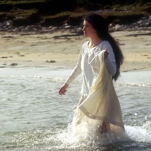 Bilder Das Geheimnis des Seehundbabys