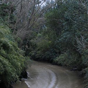 Bilder Jeder hat einen Plan