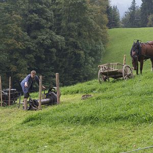 Bilder Der Verdingbub