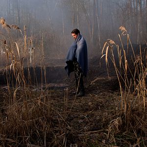 Bilder Der Schaum der Tage