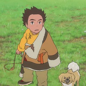 Bilder The Tibetan Dog