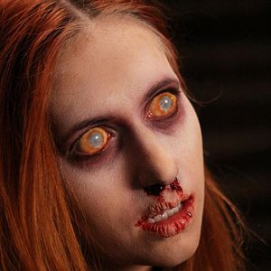 Bilder The Haunting of Whaley House