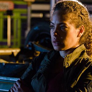 Bilder Tawny Cypress