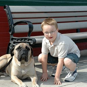 Bilder Chaos auf 4 Pfoten - Sommer mit Hund