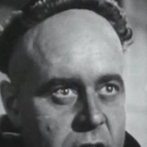 Bilder Niall MacGinnis