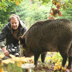 Bilder Das grüne Wunder - Unser Wald