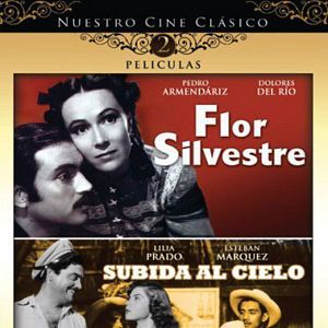 Bilder Flor silvestre