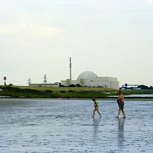 Bilder Das Ding am Deich - Vom Widerstand gegen ein Atomkraftwerk
