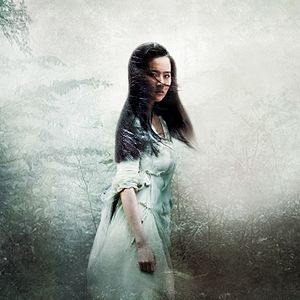 Bilder A Chinese Ghost Story - Die Dämonenkrieger