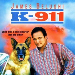 Bilder Mein Partner mit der kalten Schnauze 2