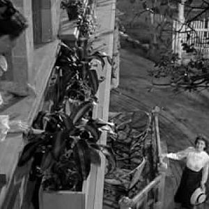 Bilder Die kleinen Füchse