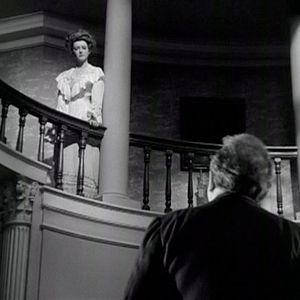 Bilder Die kleinen Füchse