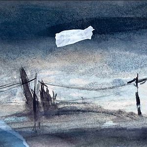 Bilder Crulic - Weg ins Jenseits