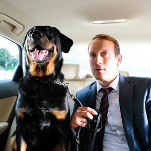 Bilder Mann tut was Mann kann