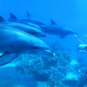 Bilder Blauer Ozean Grüne Ostsee 3D