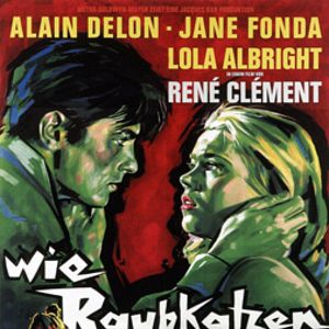 Bilder Wie Raubkatzen