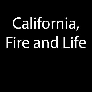 Bilder Die Sprache des Feuers