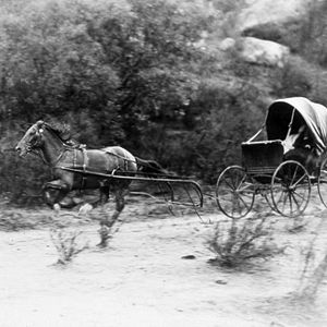 Bilder Bodysnatcher - Der Leichendieb
