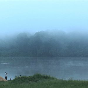 Bilder L'Hypothèse du Mokélé M'Bembé