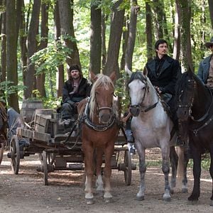 Bilder Werwolf - Das Grauen lebt unter uns