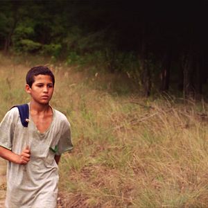 Bilder Lajos Sárkány