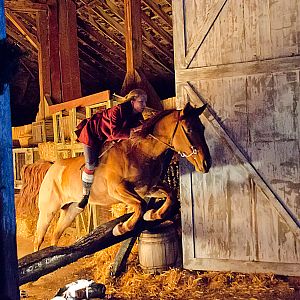 Bilder Einsatz auf vier Pfoten 2