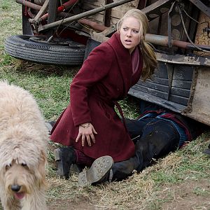 Bilder Einsatz auf vier Pfoten 2