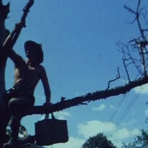 Bilder This Our Still Life