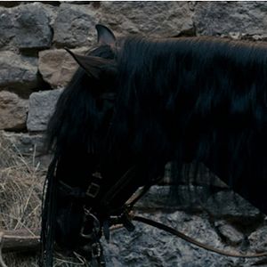 Bilder Mads Mikkelsen