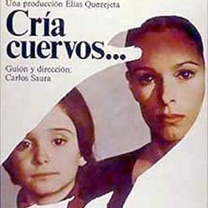 Bilder Züchte Raben...